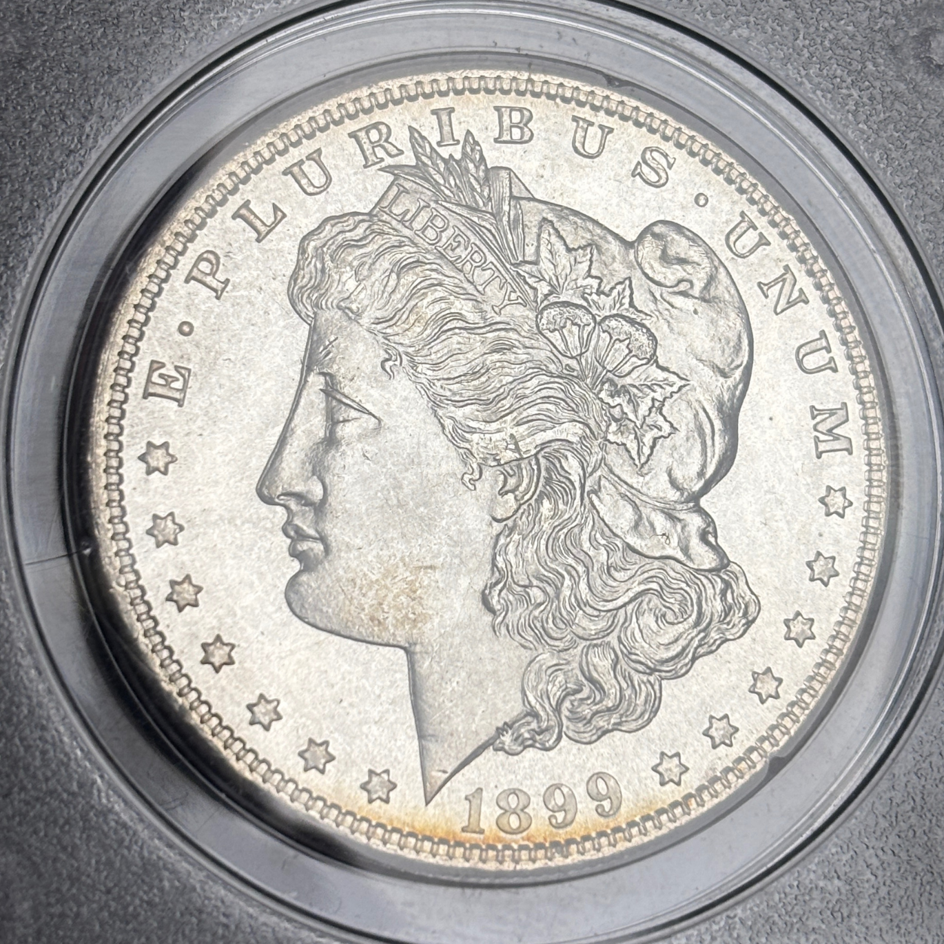 1899 Morgan MS65PL PCGS Rattler Old Holder Rare 1 of 20 in Rattler